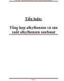 Tiểu luận Hóa học: Tổng hợp alkylbenzen và sản xuất alkylbenzen sunfonat