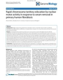 Báo cáo y học: Rapid chromosome territory relocation by nuclear motor activity in response to serum removal in primary human fibroblasts