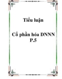 Tiểu luận Cổ phần hóa DNNN P.5