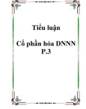 Tiểu luận Cổ phần hóa DNNN