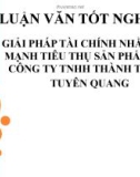 Bài thuyết trình: Giải pháp tài chính nhằm đẩy mạnh tiêu thụ sản phẩm của Công ty TNHH Thành Tuyên, Tuyên Quang