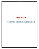 Tiểu luận hành vi tổ chức: Tiến trình tuyển chọn nhân viên