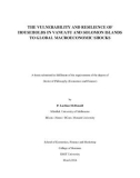 Doctoral thesis of Philosophy: The vulnerability and resilience of households in Vanuatu and Solomon Islands to global macroeconomic shocks