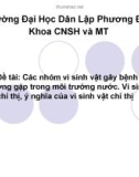 Bài thuyết trình Các nhóm vi sinh vật gây bệnh thường gặp trong môi trường nước. Vi sinh vật chỉ thị, ý nghĩa của vi sinh vật chỉ thị