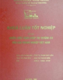 Khóa luận tốt nghiệp: Chiến lược thâm nhập thị trường EU của các doanh nghiệp Việt Nam