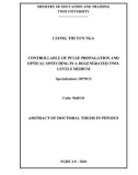 Abstract of Doctoral Thesis in Physics: Control of pulse propagation and optical switching in a degenerated two-levels atomic medium