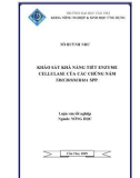 Luận văn: KHẢO SÁT KHẢ NĂNG TIẾT ENZYME CELLULASE CỦA CÁC CHỦNG NẤM TRICHODERMA SPP.