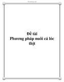 Đề tài: Phương pháp nuôi cá lóc thịt