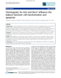 Báo cáo khoa học: SemiHemizygosity for Atm and Brca1 influence the balance between cell transformation and apoptosis