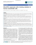 Báo cáo khoa học: MicroRNA expression after ionizing radiation in human endothelial cells