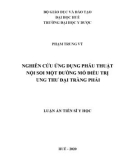 Luận án Tiến sĩ Y học: Nghiên cứu ứng dụng phẫu thuật nội soi một đường mổ điều trị ung thư đại tràng phải