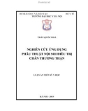 Luận án tiến sĩ Y học: Nghiên cứu ứng dụng phẫu thuật nội soi điều trị chấn thương thận