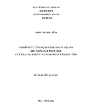 Luận án Tiến sĩ Y học: Nghiên cứu ứng dụng phẫu thuật nội soi một cổng sau phúc mạc cắt thận mất chức năng do bệnh lý lành tính