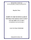 Luận văn Thạc sĩ Sinh học: Nghiên cứu một số chủng xạ khuẩn sinh hoạt chất kháng nấm fusarium gây hại trên cây cà chua (lycopersicon esculentum mill.)