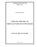 Luận văn Thạc sĩ Luật học: Nuôi con nuôi thực tế theo Luật nuôi con nuôi năm 2010