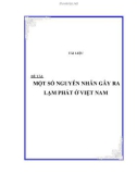 ĐỀ TÀI: MỘT SỐ NGUYÊN NHÂN GÂY RA LẠM PHÁT Ở VIỆT NAM