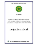 Luận án Tiến sĩ Nông nghiệp: Nghiên cứu một số biện pháp kỹ thuật nhân giống và trồng rau đắng đất [Glinus oppositifolius (L.) DC.] tại đồng bằng sông Hồng