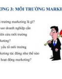 Bài giảng Marketing: Chương 3 - Môi trường marketing