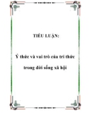 Tiểu luận đề tài : Ý thức và vai trò của tri thức trong đời sống xã hội