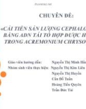 ĐỀ TÀI: CẢI TIẾN SẢN LƯỢNG CEPHALOSPORIN C BẰNG ADN TÁI TỔ HỢP ĐƯỢC HỢP NHẤT TRONG ACREMONIUM CHRYSOGENUM