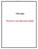 Tiểu luận: Mua bán và sáp nhập doanh nghiệp