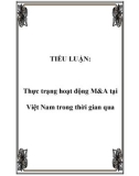 TIỂU LUẬN: Thực trạng hoạt động M&A tại Việt Nam trong thời gian qua