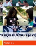 đề tài: Bạo lực học đường ở Việt Nam