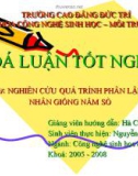 Báo cáo: Nghiên cứu quá trình phân lập và nhân giống nấm sò