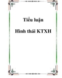 Tiểu luận Hình thái KTXH