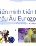 Tiểu luận; Liên minh tiền tệ châu Âu Eurozone