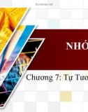 Thuyết trình nhóm Chương 17: Tự tương quan