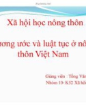 Tiểu luận Xã hội học nông thôn: Hương ước và luật tục ở nông thôn Việt Nam