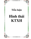 Tiểu luận về Hình thái KTXH