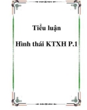 Tiểu luận phân tích Hình thái KTXH