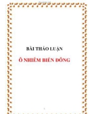 TIỂU LUẬN: Ô NHIỄM BIỂN ĐÔNG