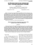 BÁO CÁO ĐẶC ĐIỂM SINH HỌC CƠ BẢN CỦA CÁ NÂU SCATOPHAGUS ARGUS (Linaeus, 1776) THU THẬP TẠI HUYỆN CẦN GIỜ, TP. HỒ CHÍ MINH 