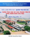 Tiểu luận: Phân tích rủi ro cho trung tâm phân phối miền Nam P&G