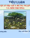 Tiểu luận: Mối quan hệ giữa rừng ngập mặn và môi trường