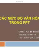 Tiểu luận: Các mức độ văn hóa trong FPT