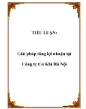 TIỂU LUẬN: Giải pháp tăng lợi nhuận tại Công ty Cơ Khí Hà Nội.Lời mở đầuTừ khi chuyển sang nền kinh tế thị trường có sự quản lý vĩ mô của nhà nước theo định hướng xã hội chủ nghĩa thì nền kinh tế nước ta mới thực sự khởi sắc. Sự tồn tại đồng thời của