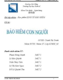 Bài tập nhóm học phần Kinh tế bảo hiểm: Bảo hiểm con người