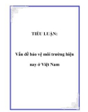 TIỂU LUẬN: Vấn đề bảo vệ môi trường hiện nay ở Việt Nam