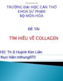 ĐỀ TÀI: TÌM HIỂU VỀ COLLAGEN