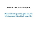 Báo cáo sinh thái cảnh quan (Phân tích mối quan hệ giữa các yếu tố cảnh quan Đám, Hành lang, Nền)