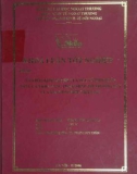 Khóa luận tốt nghiệp: Văn hóa kinh doanh của Đức và biện pháp nâng cao khả năng thâm nhập thị trường này của doanh nghiệp Việt Nam