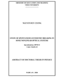 Abstract of doctoral thesis in physics: Study of spontaneous symmetry breaking in some nonlinear optical systems