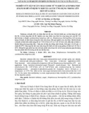 BÁO CÁO NGHIÊN CỨU SẢN XUẤT CELLULOSE TỪ VI KHUẨN ACETOBACTER XYLINUM ĐỂ CỐ ĐỊNH VI KHUẨN LACTIC ỨNG DỤNG TRONG LÊN MEN SỮA CHUA 