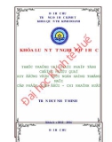 Khóa luận tốt nghiệp: Thực trạng và giải pháp tăng cường hiệu quả huy động vốn tại Ngân hàng Thương mại Cổ phần Quân Đội- Chi nhánh Huế