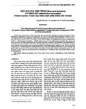 Báo cáo: Hiệu quả của nấm trắng (Beauveria bassiana) và nấm xanh (Metarhizium anisopliae) trong quản lý dịch hại tổng hợp (IPM) trên cây có múi