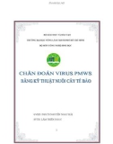 Tiểu luận: Chuẩn đoán virus PMWS bằng kỹ thuật nuôi cấy tế bào